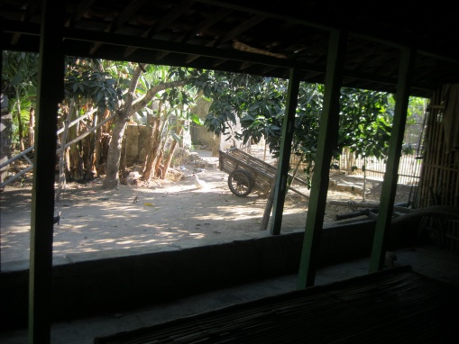 A pastoral scene near Sampang Madura (Indonesia)